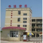 东莞市大岭山华强学校标志