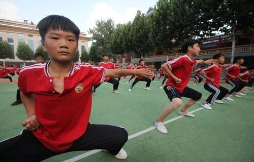 大荔县少林武术学校标志